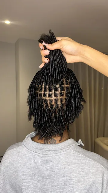 Starter Locs